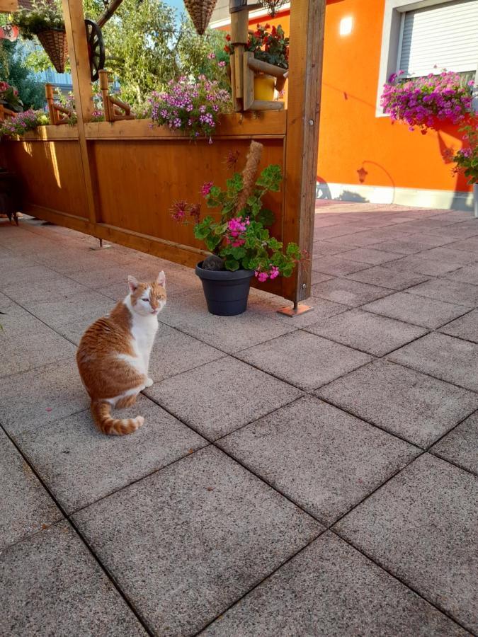 Trollenhof Apartment Wellendingen Luaran gambar